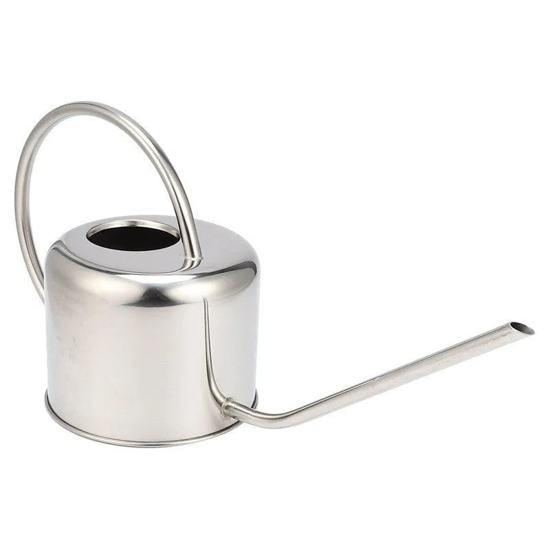 Stainless steel watering can with long spout, 2 litre capacity, shown in metallic finish.