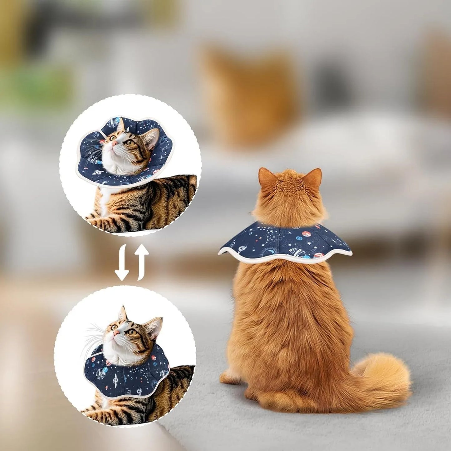 Soft adjustable cat cone collar in constellation pattern showing fastener and soft edging