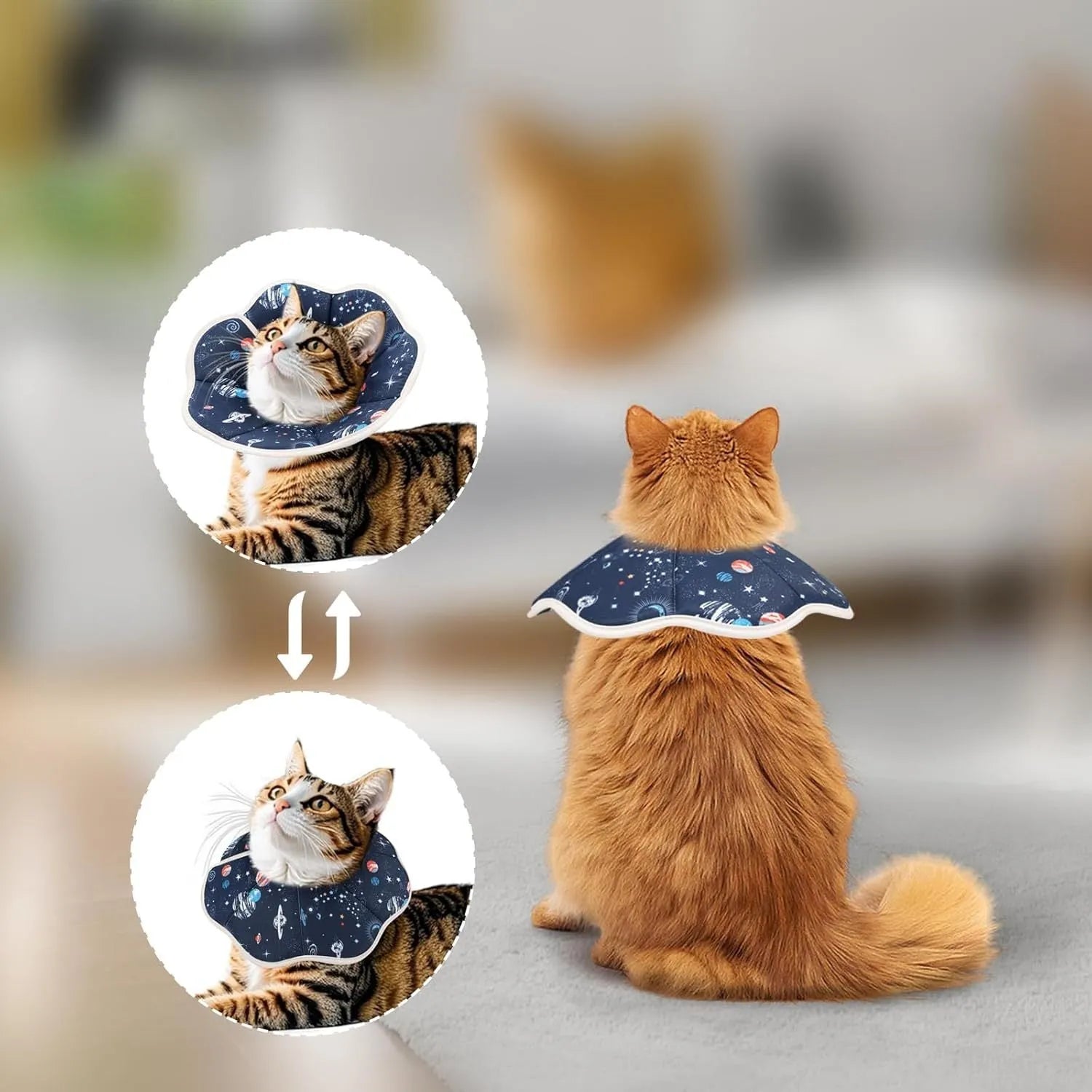 Soft adjustable cat cone collar in constellation pattern showing fastener and soft edging