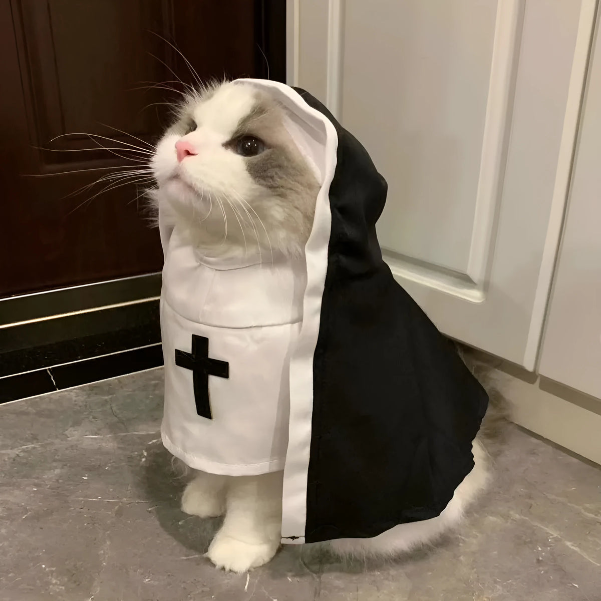 Black and white nun costume cloak for a small dog on a Halloween backdrop.