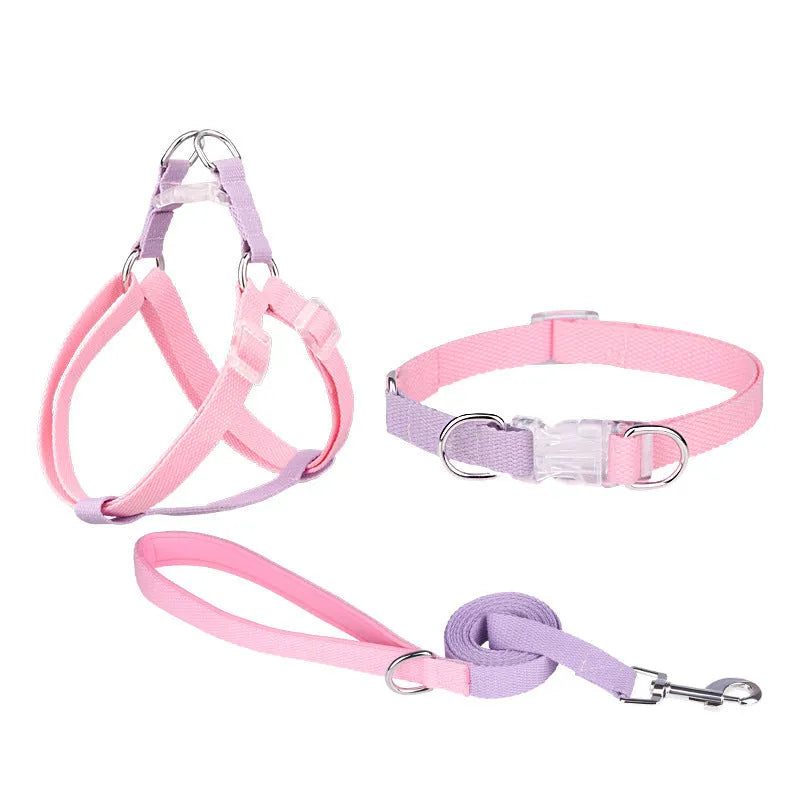 Polyester ribbon dog collar and lead set with chest strap in assorted colours.