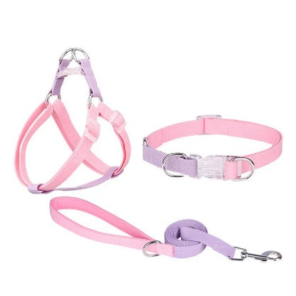 Polyester ribbon dog collar and lead set with chest strap in assorted colours.