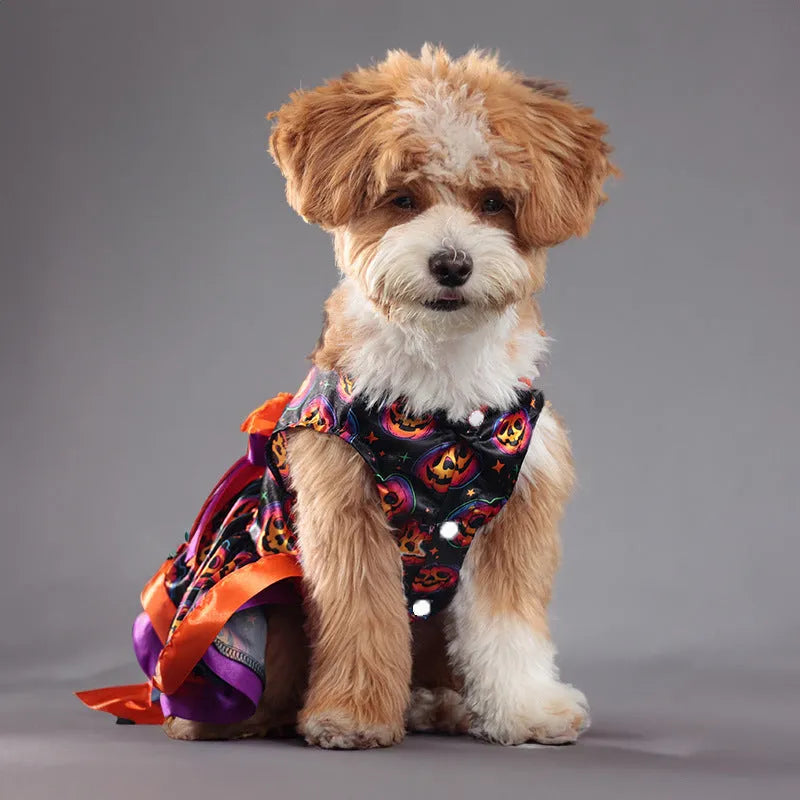 Halloween dog skirt with colourful pumpkin design, double-layer construction, elastic waistband on small dog