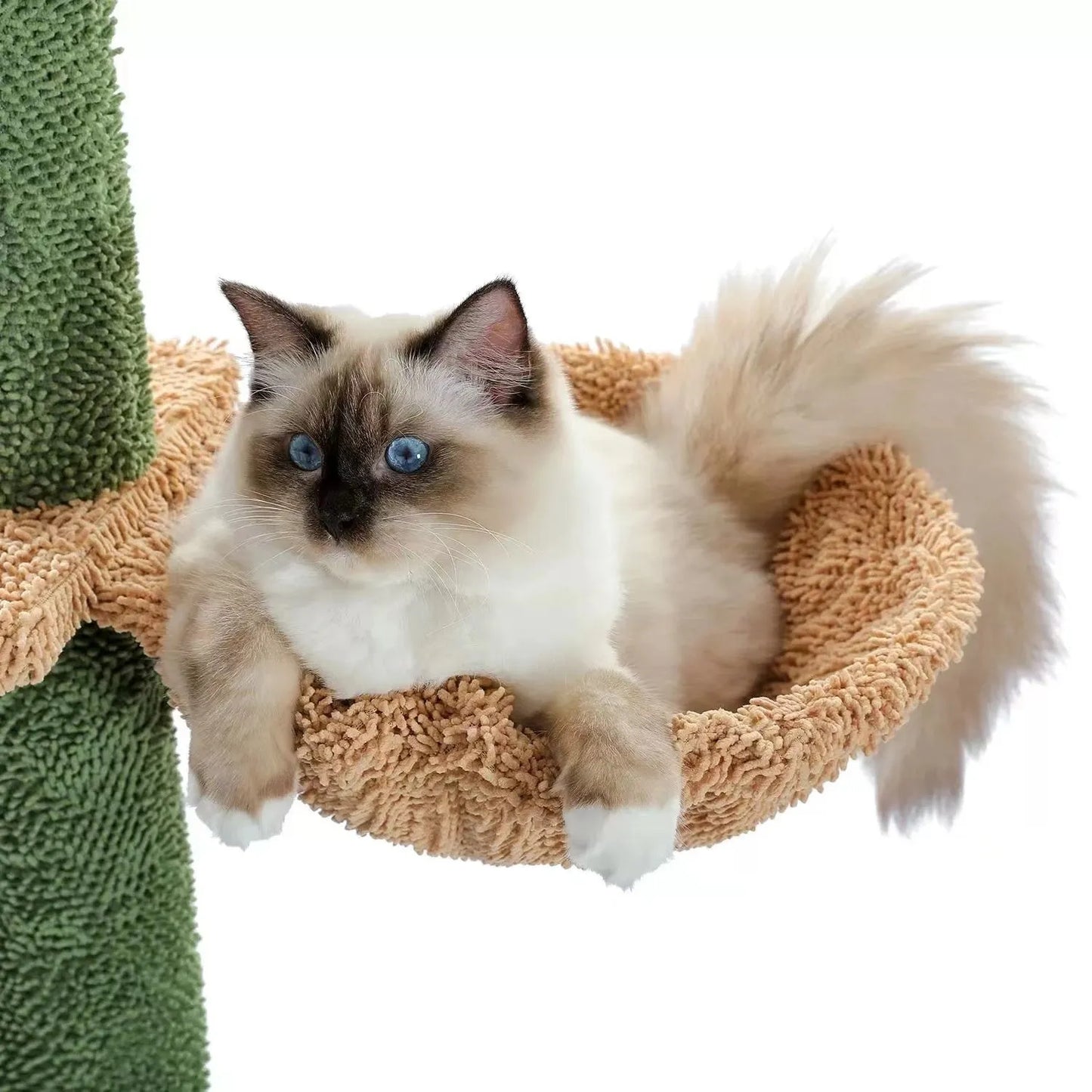 Tall natural wood cat climbing frame with integrated scratching board and enclosed cat nest