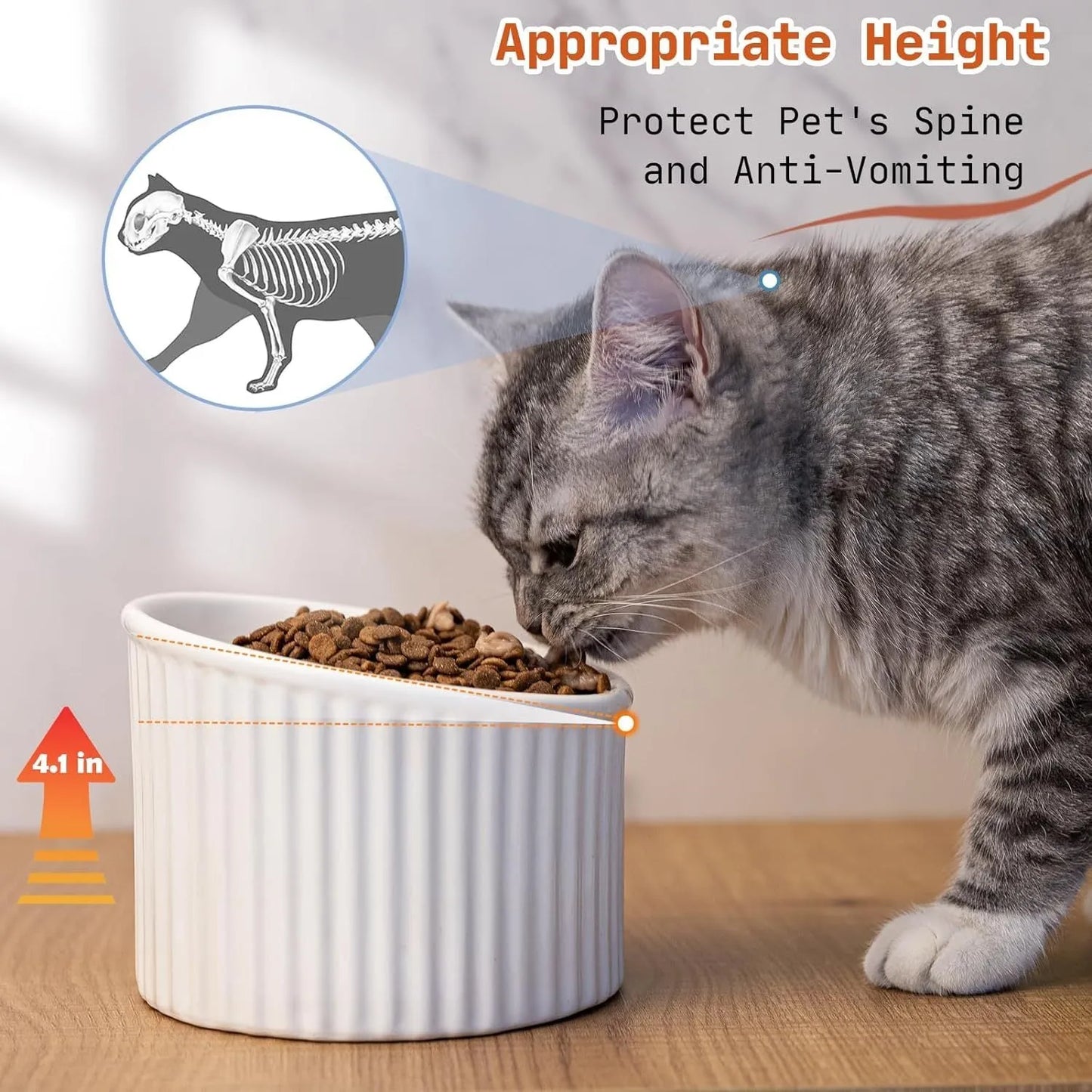 Ceramic elevated cat bowl in green colour showing tilted, round whisker-friendly design.