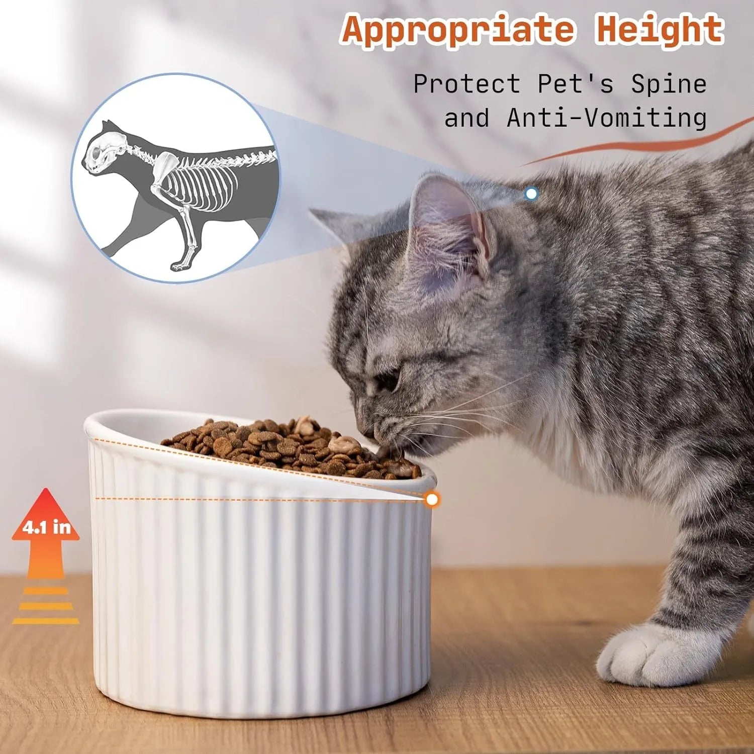 Ceramic elevated cat bowl in green colour showing tilted, round whisker-friendly design.
