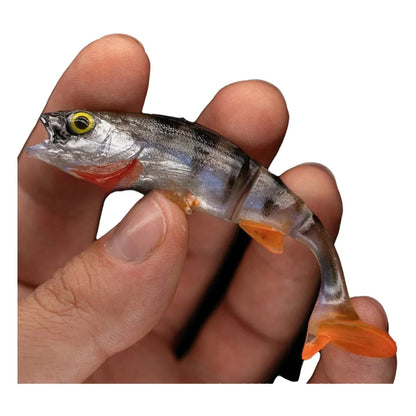 Two fish-shaped soft plastic fishing lures for catfish and sea fishing on a blue background.