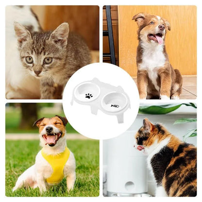 Ceramic cat food and water bowl set in elevated tilted stand, shown in blue, pink, white, and yellow colour options.