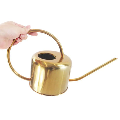 Stainless steel watering can with long spout, 2 litre capacity, shown in metallic finish.