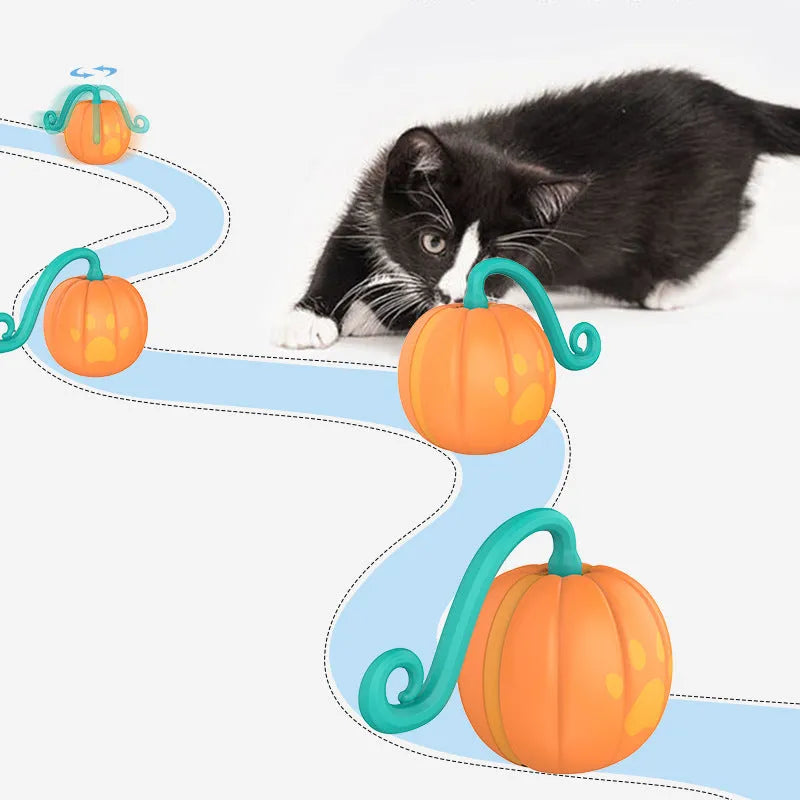 Electric cat pets toy smart funny cat luminous ball pet products plastic cat teasing ball available in watermelon colour or pumpkin colour designs for indoor interactive play