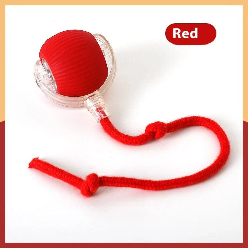 Interactive cat toy ball with automated features, rolling across various surfaces to engage and entertain your feline friend