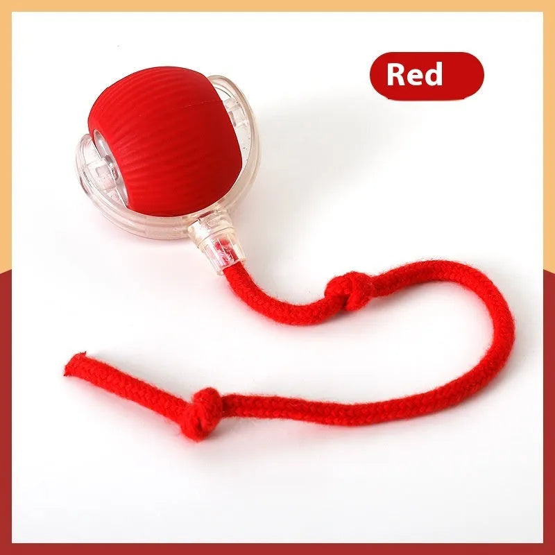 Interactive electronic cat toy ball with automatic rolling features on hardwood floor
