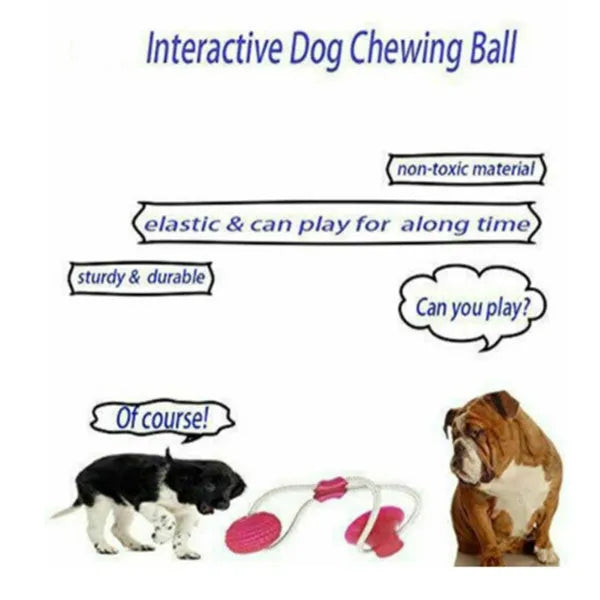 Dog biting sucker multifunction pet molar bite toy with rubber, TPR and cotton fibre rope in red, blue, green, orange or purple