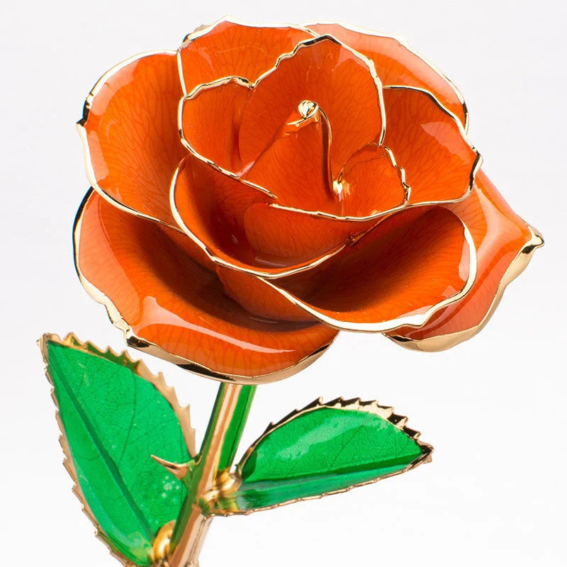 24K gold-plated rose flower in elegant gift box for Valentine's Day
