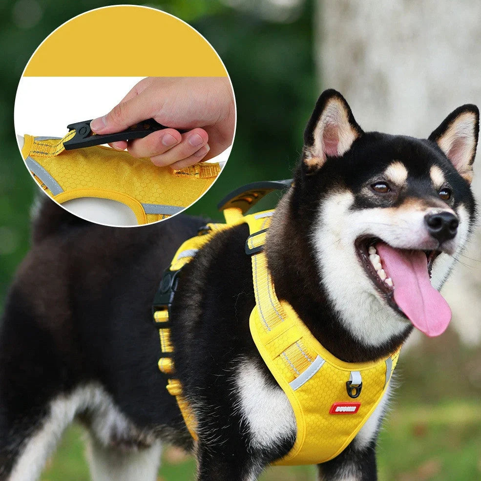 Reflective pet chest strap in multiple colours with adjustable design for night walk safety