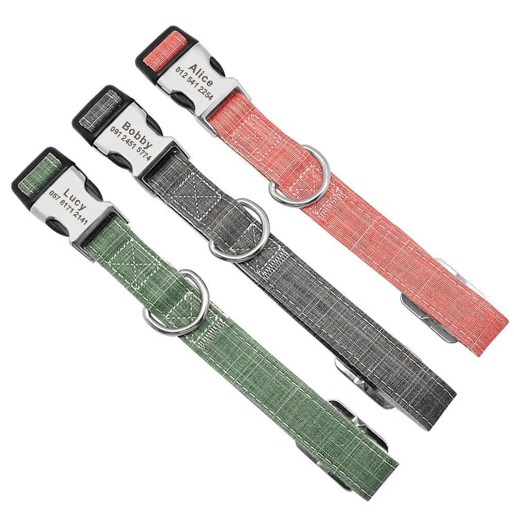 Custom dog collar with engraved tag in various colours and sizes