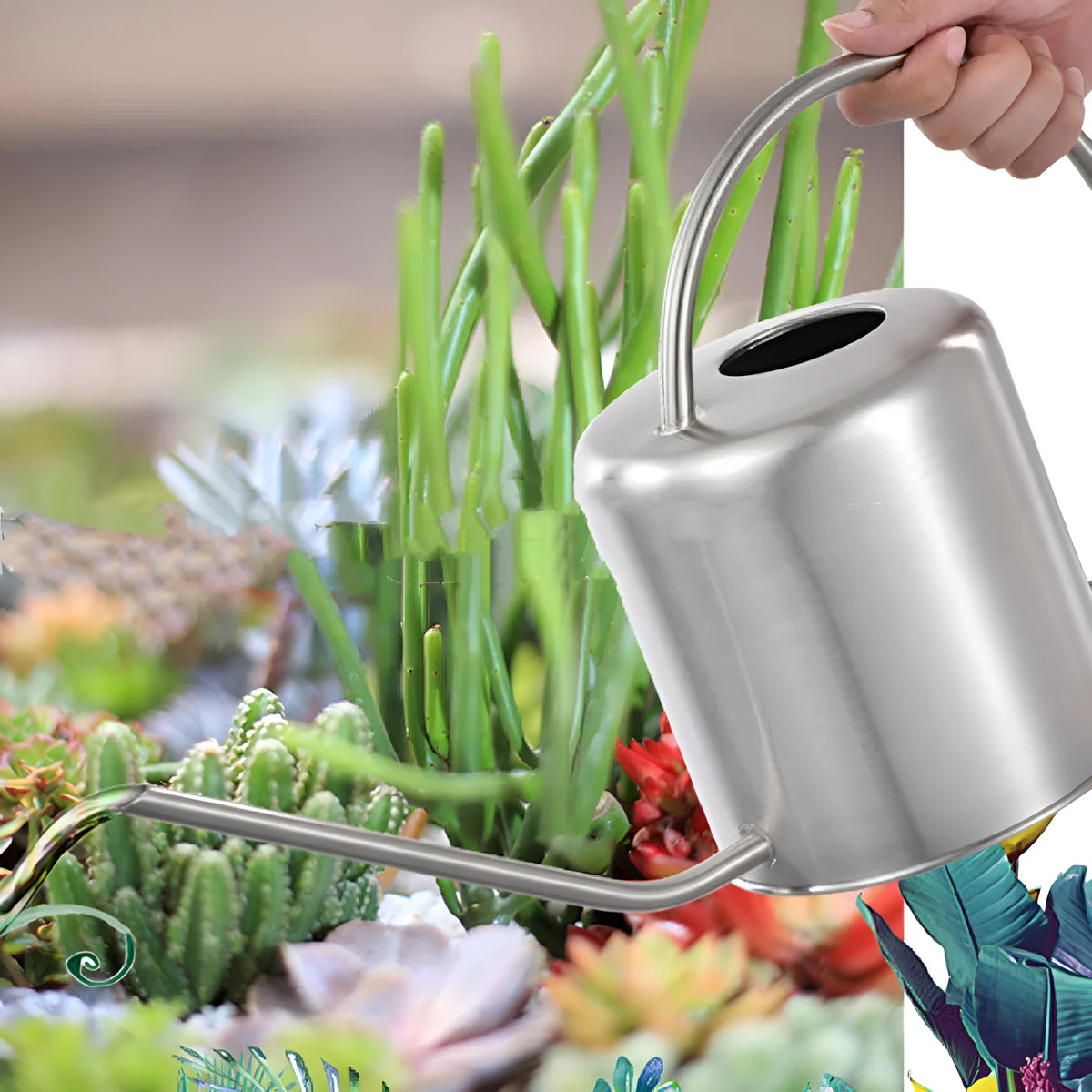 Stainless steel watering can with long spout, 2 litre capacity, shown in metallic finish.