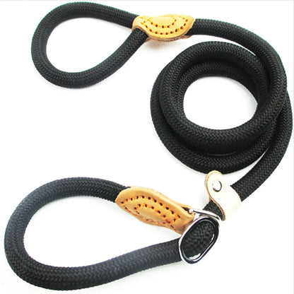 Brown nylon P chain dog leash hand holding rope showing 2.1 metre length