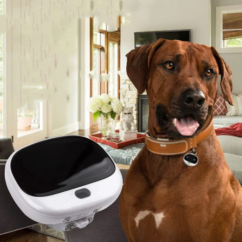Mini Cat Anti-Loss Tracker with LED light and waterproof design
