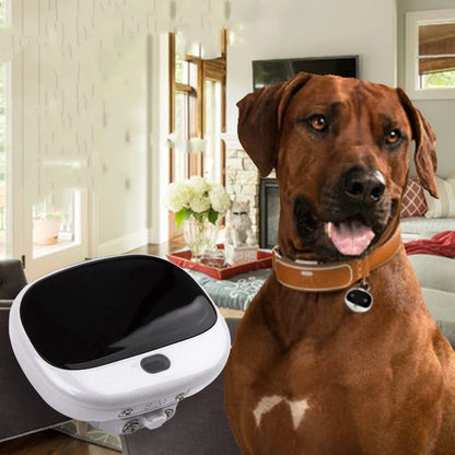 Mini Cat Anti-Loss Tracker with LED light and waterproof design