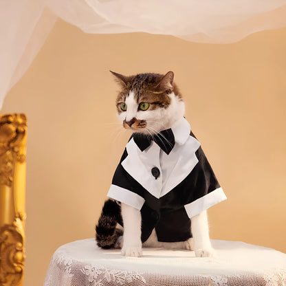 Black Chinese style four-legged dog wedding suit formal gentleman attire