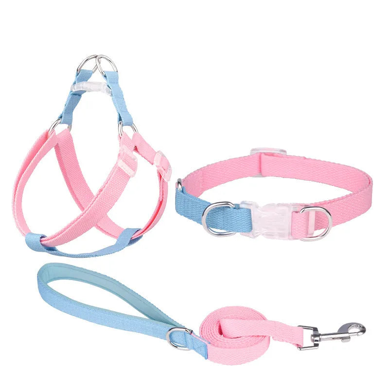 Polyester ribbon dog collar and lead set with chest strap in assorted colours.
