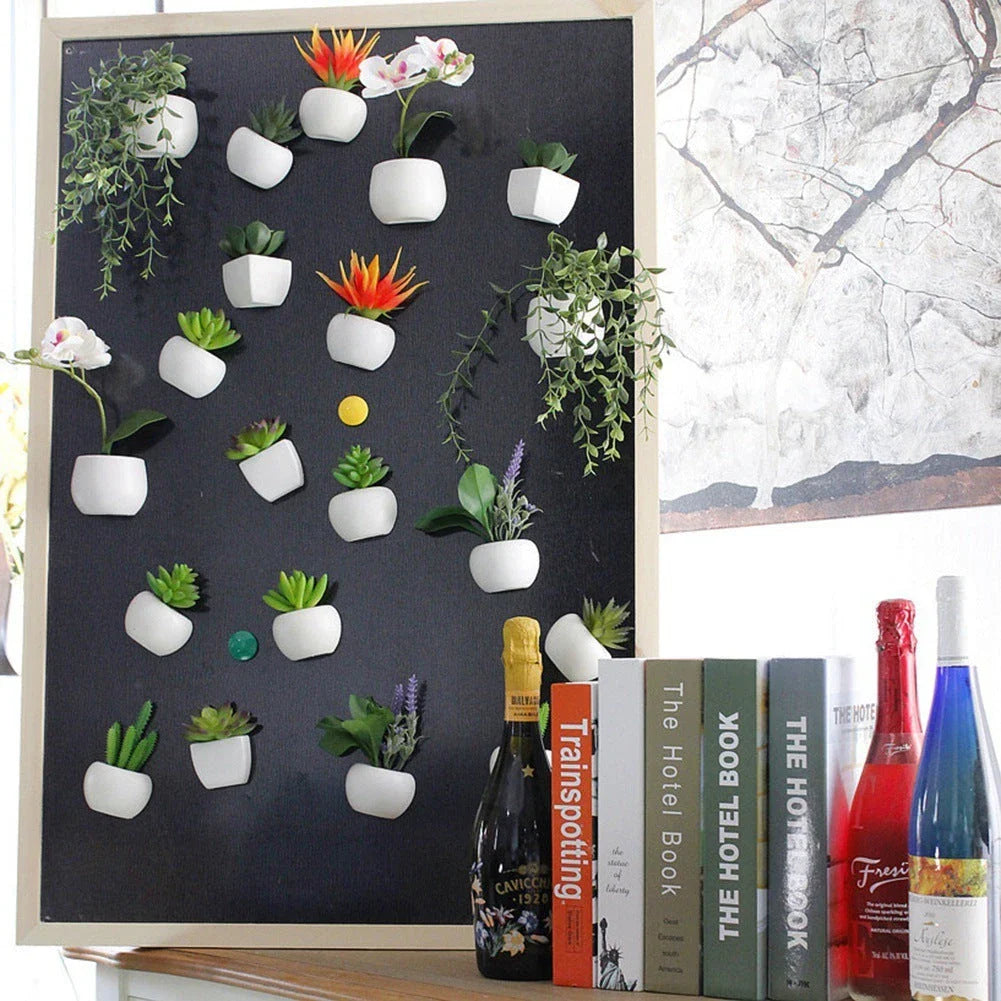 Realistic-looking succulent fridge magnets in various styles, designed to add natural charm and low-maintenance decor to any kitchen or home