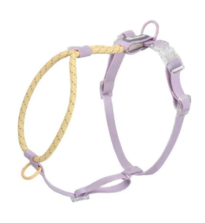 Solid colour PVC dog hand holding rope leash in dark red purple yellow showing collar attachment.