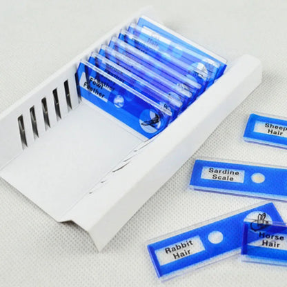 Four colour-coded boxes containing plastic microscope slides with plant rhizome and animal specimen samples for children