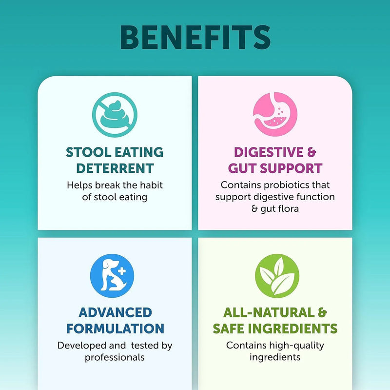 Pet intestinal probiotic chewable tablets for dogs - pumpkin flavour supplement with 180 chews for digestive support, gut health maintenance, and daily nutritional care