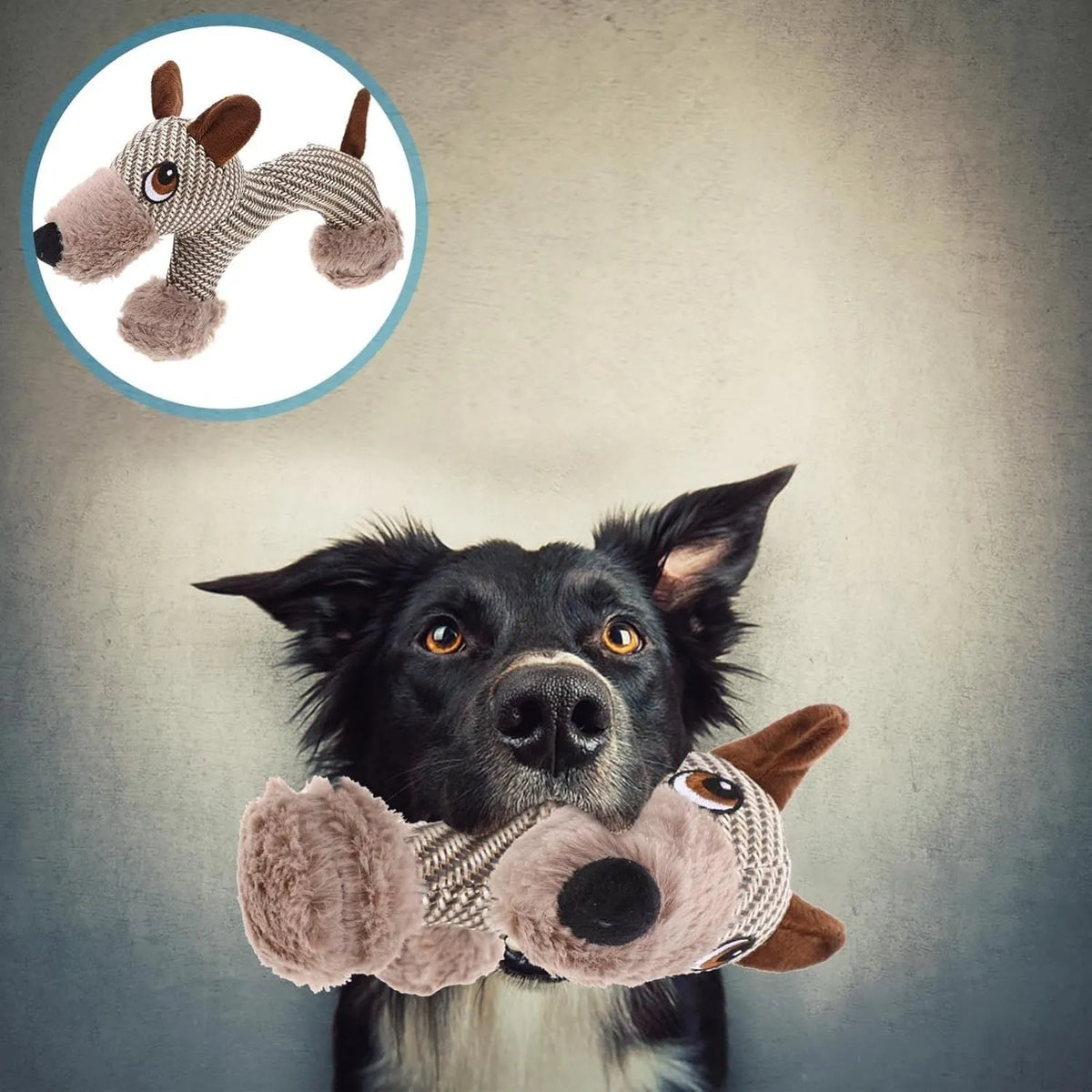 Plush squeaky dog toy in monkey or puppy design for medium large dogs