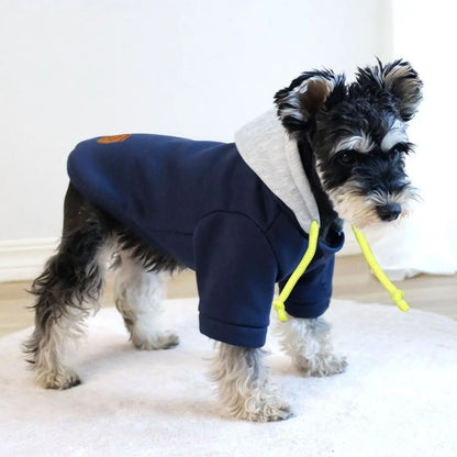 Simple dark red polyester dog hoodie with contrast colour detail, shown on a medium-sized dog.