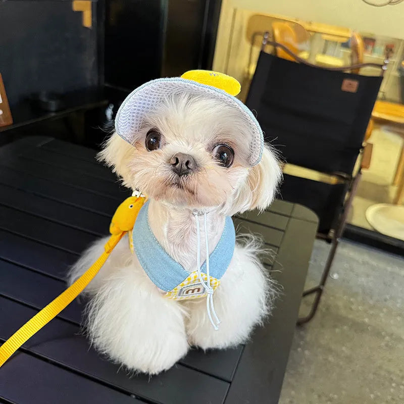 Pet wire rope pulling set showing harness, leash, and cute hat for a cat or dog.