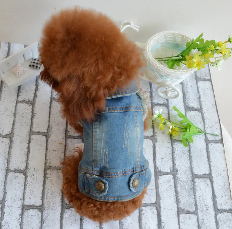 Pet dog clothing denim vest with scratch pattern design available in dark and light denim colours for small medium large extra-large and extra-extra-large dogs in European and American style for autumn and winter wear