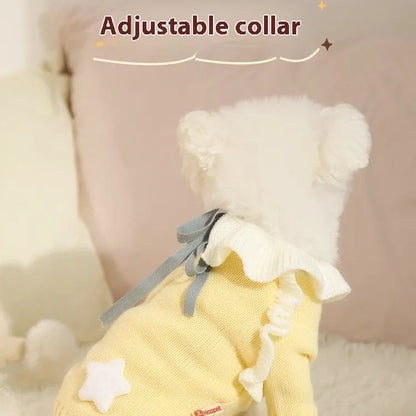 Yellow acrylic knit dog sweater on a small dog, showing casual style and fit.