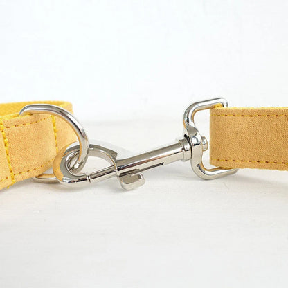 Nala durable polyester dog collar and leash set in vibrant colours