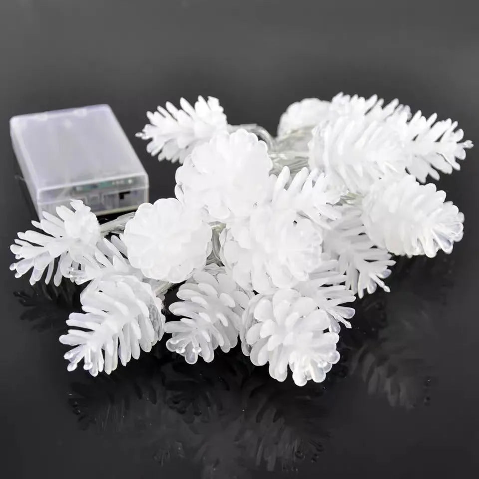 LED transparent pine nut fairy lights in warm white colour on 3 metre string