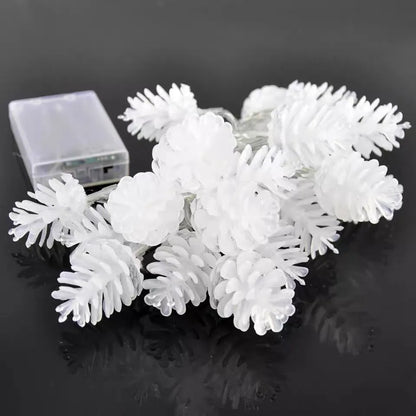 LED transparent pine nut fairy lights in warm white colour on 3 metre string