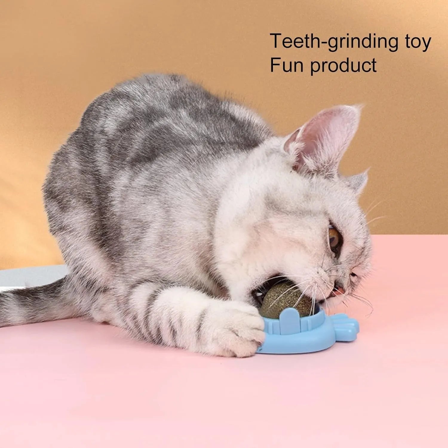 Four blue carrot-shaped catnip balls with adhesive backs and clear covers on a white wall