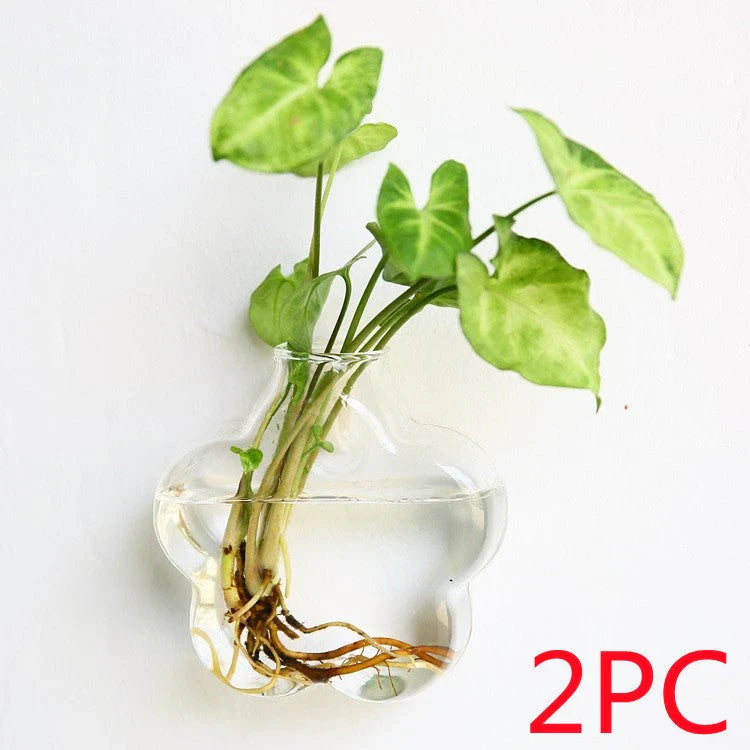 Wall-mounted glass flower vase and terrarium with various design options for customization and decoration