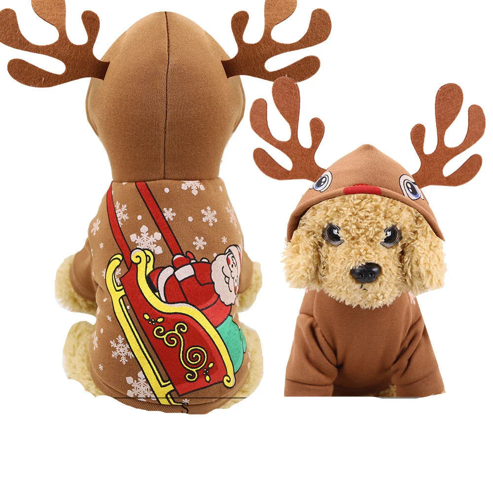 Stylish pet clothing collection featuring a range of cozy and fashionable outfits for dogs and cats