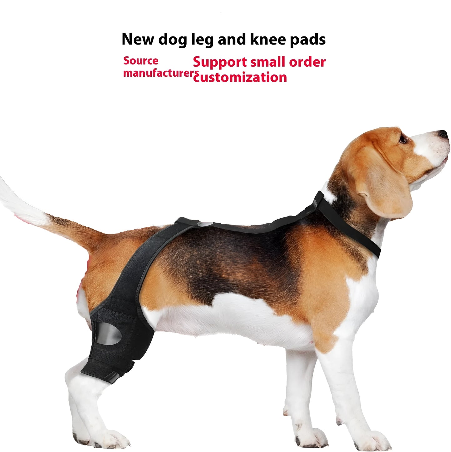 Adjustable neoprene dog hind leg support brace for hip dysplasia and arthritis.