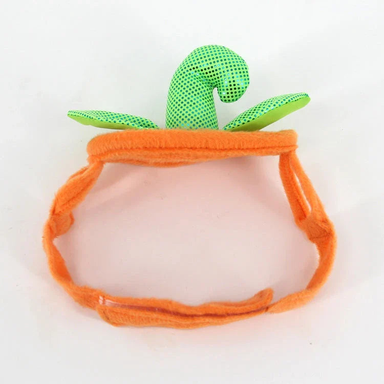 Pumpkin-themed Halloween costume for cats, featuring a plush hat and dress with vibrant patterns and leaf accents