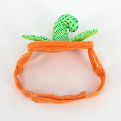 Pumpkin-themed Halloween costume for cats, featuring a plush hat and dress with vibrant patterns and leaf accents