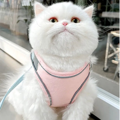 Cat pulling rope vest with reflective chest strap in suede material with contrast stitching