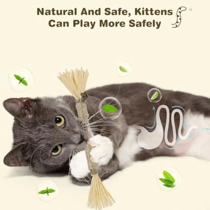 Natural silvervine chew sticks for cats with sisal rope for dental care, showing thick and fine diameter options