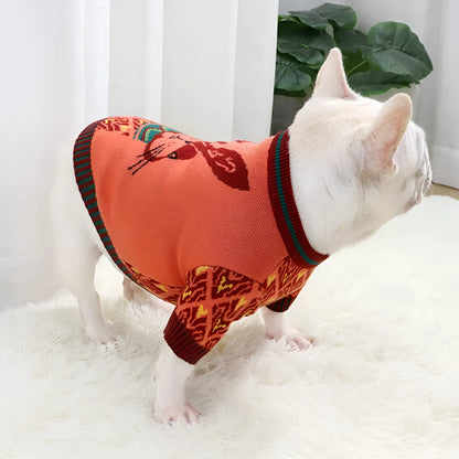 Cartoon aerobull design dog sweater with button front closure in wool-blend fabric