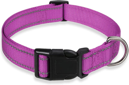 Nylon adjustable dog collar with chest strap in multiple colour options on a white background