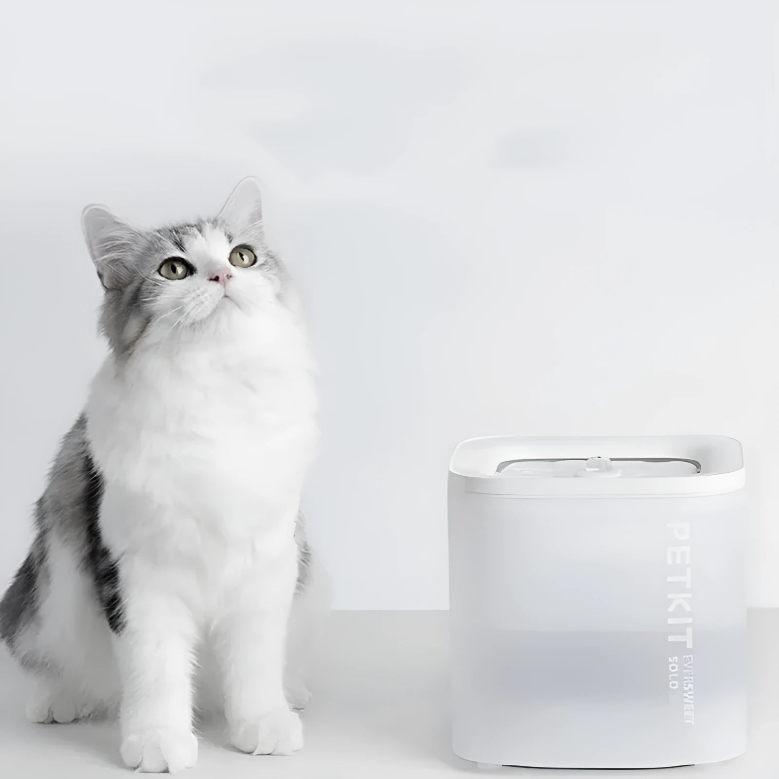 Xiaopei SOLO2 smart pet water dispenser in white with filtration system
