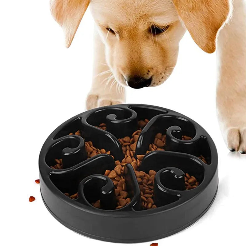 Coloured plastic dog slow feeder bowl showing internal maze pattern and ridges, with wide non-slip base